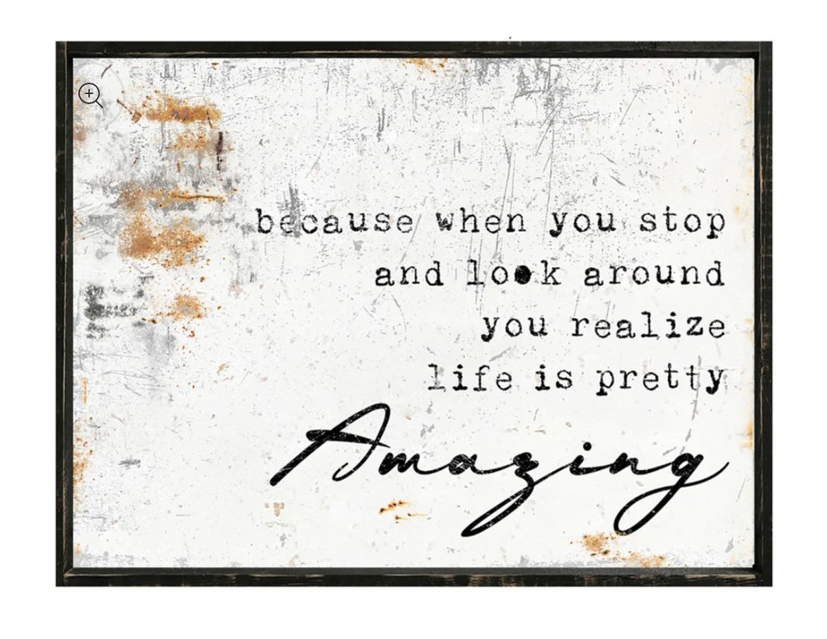 Life is Pretty Amazing Framed Print