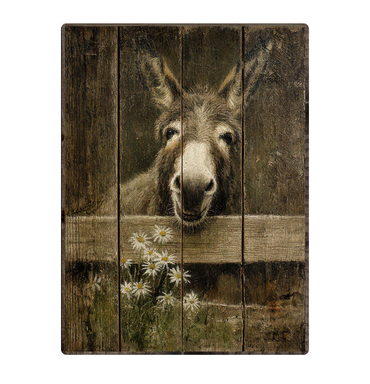 Daisy the Donkey Framed Print