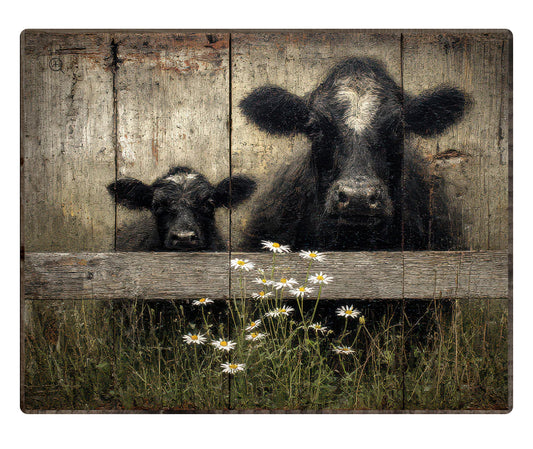 Claire and Chloe Framed Print