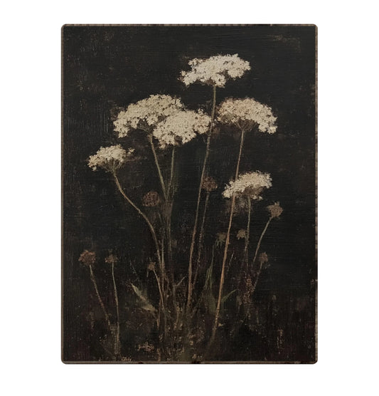 Queen Anne’s Lace Framed Print