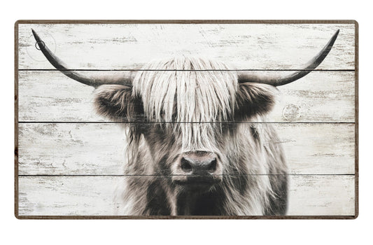 Jeffery - Highland Cow Framed Print