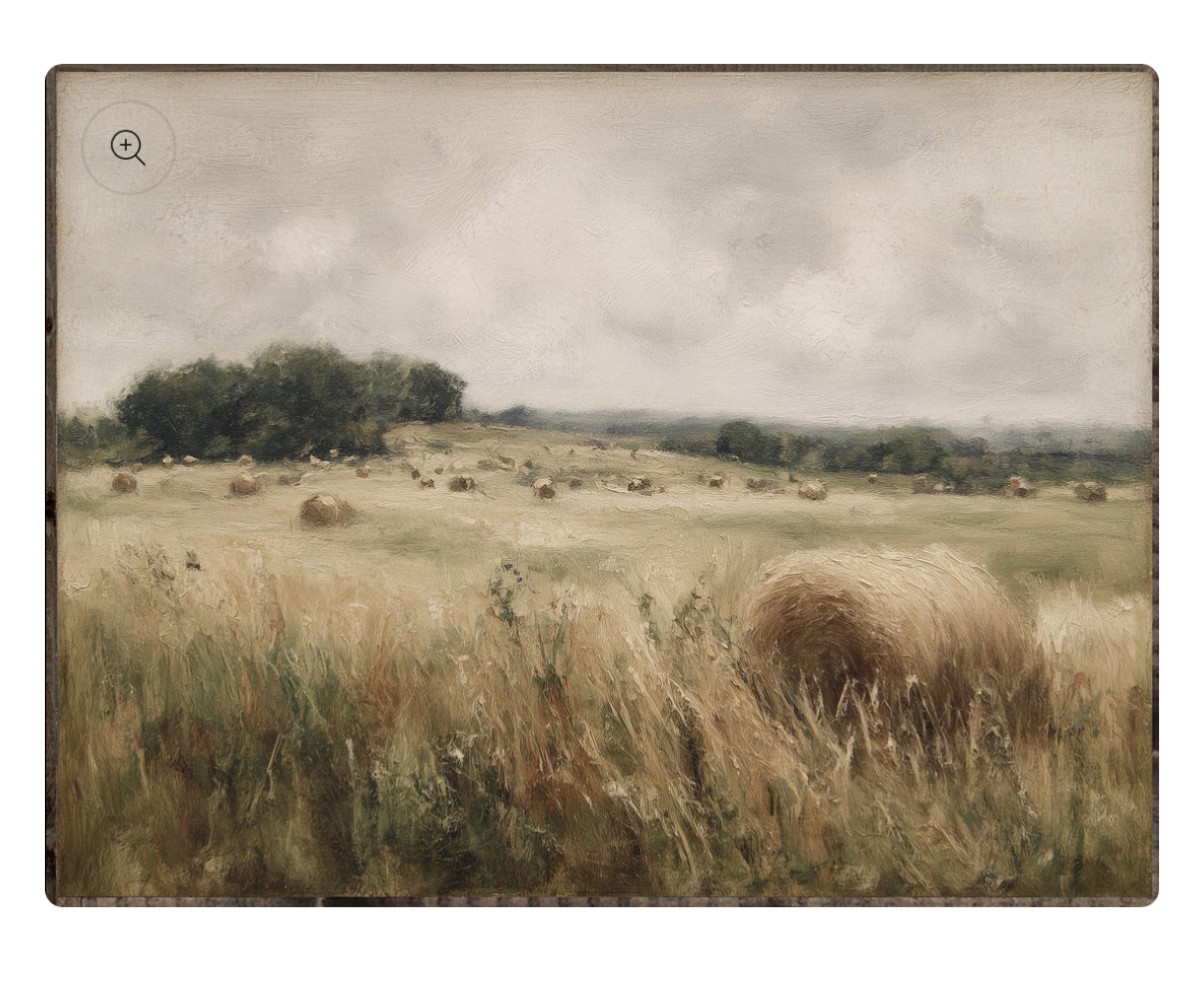 Hay Field Framed Print