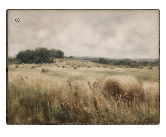Hay Field Framed Print