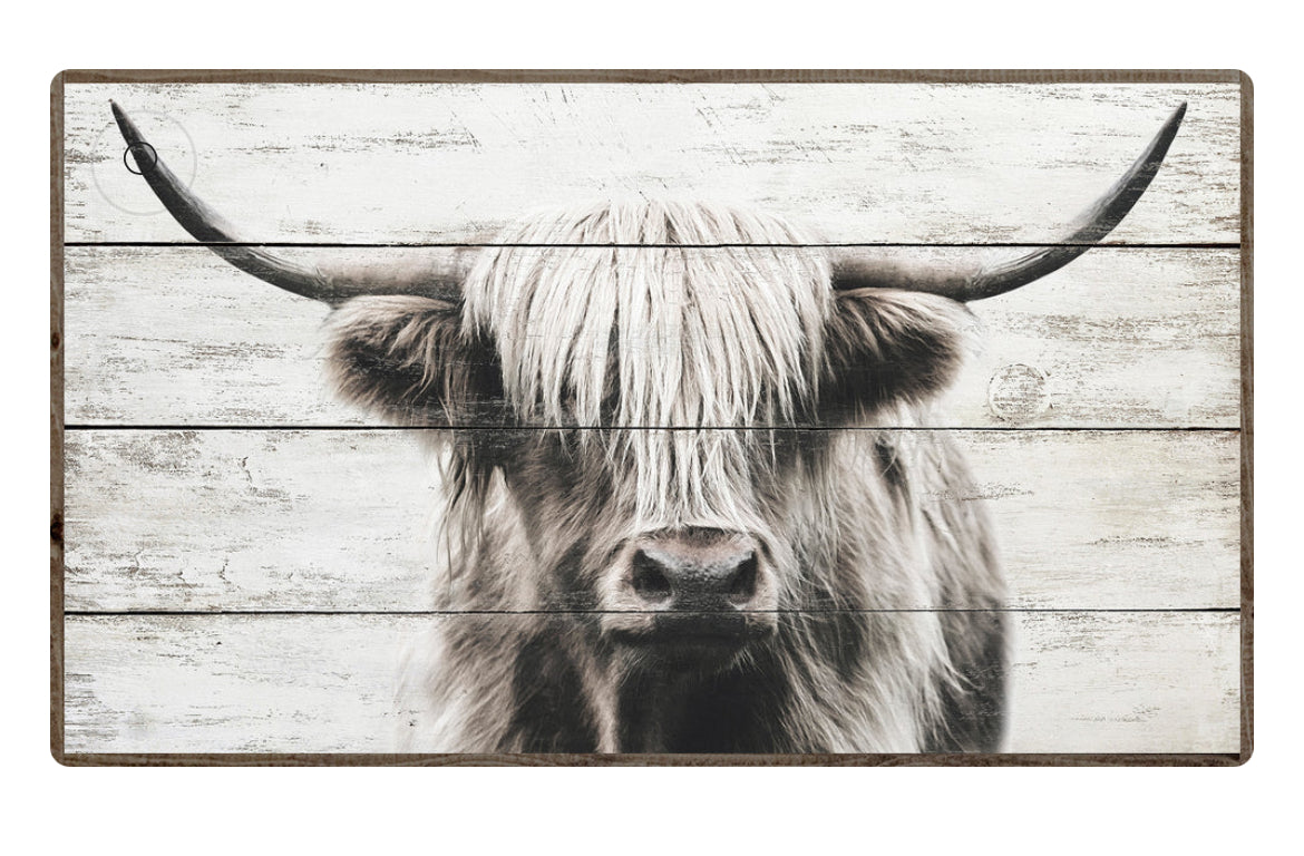 Jeffery - Highland Cow Framed Print