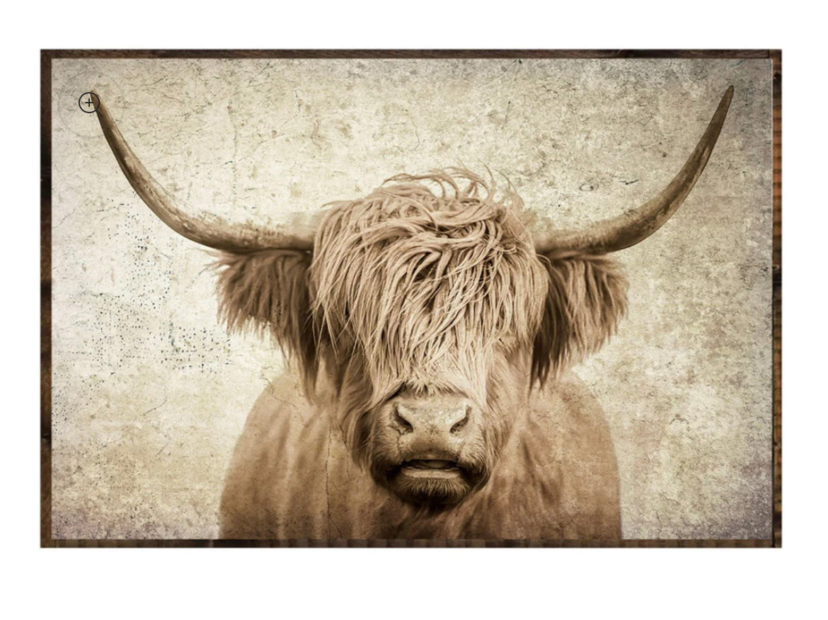 “Willie” the Cow Print 36” x 24”