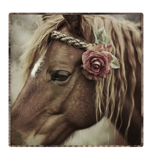 “Petunia” Horse Framed Print