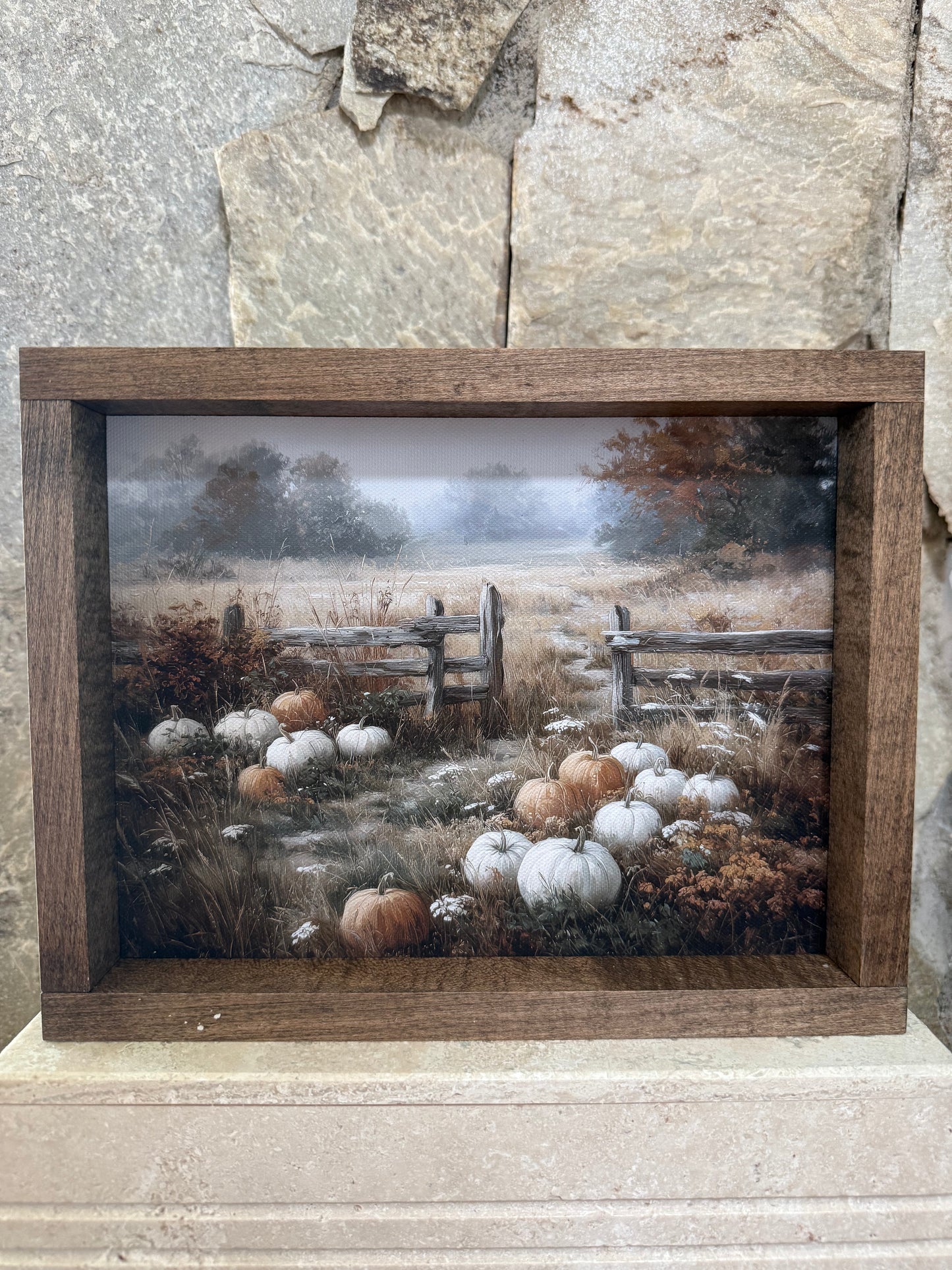Pumpkin Field Framed Print