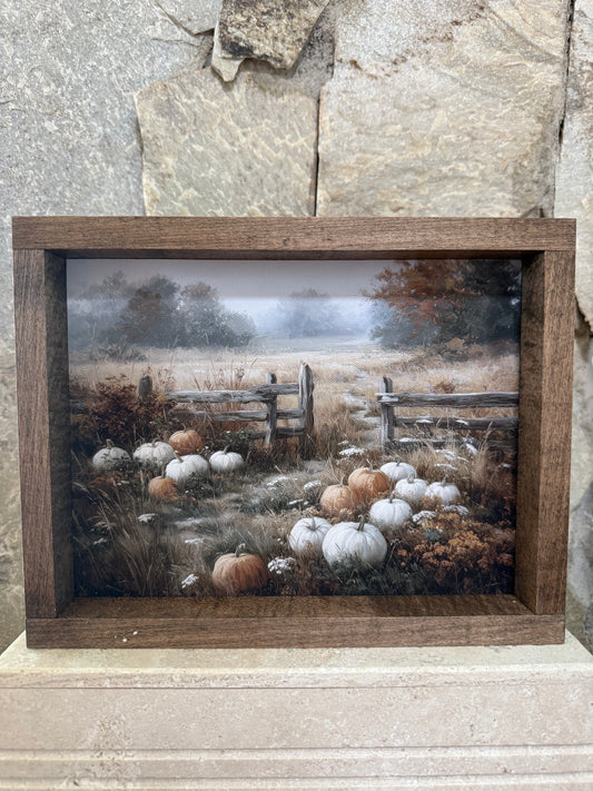 Pumpkin Field Framed Print