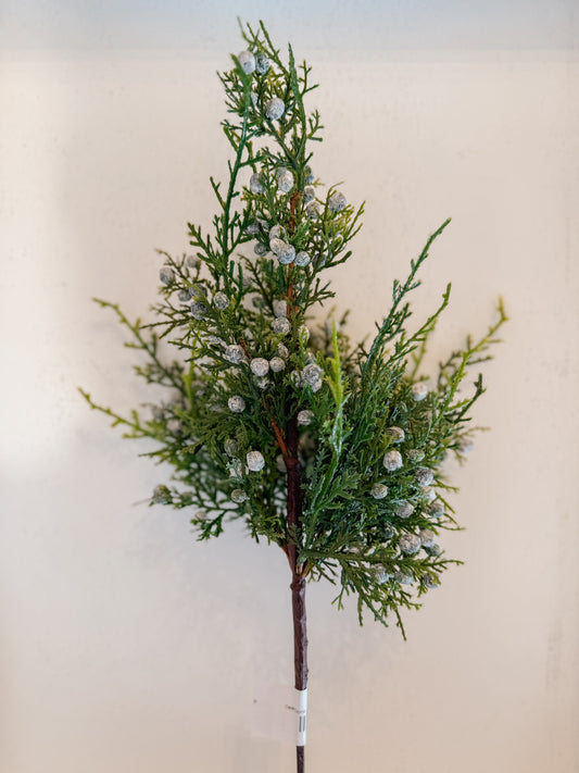 Juniper Berry Spray 18”