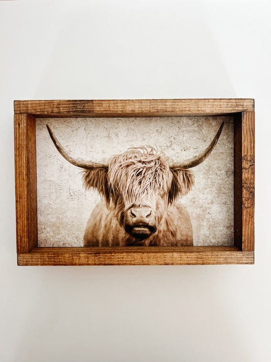 “Willie” the Cow Framed Print