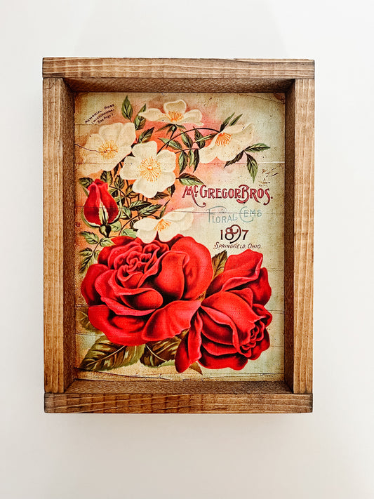 Red Roses Framed Print
