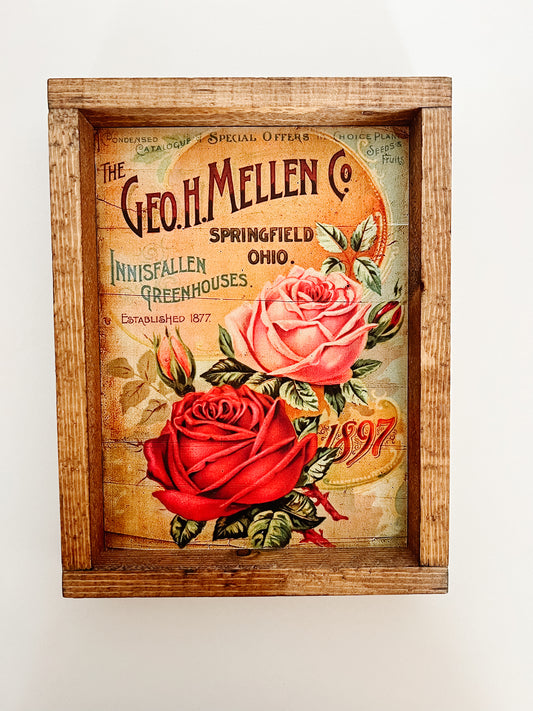 Pink/Red Roses Framed Print