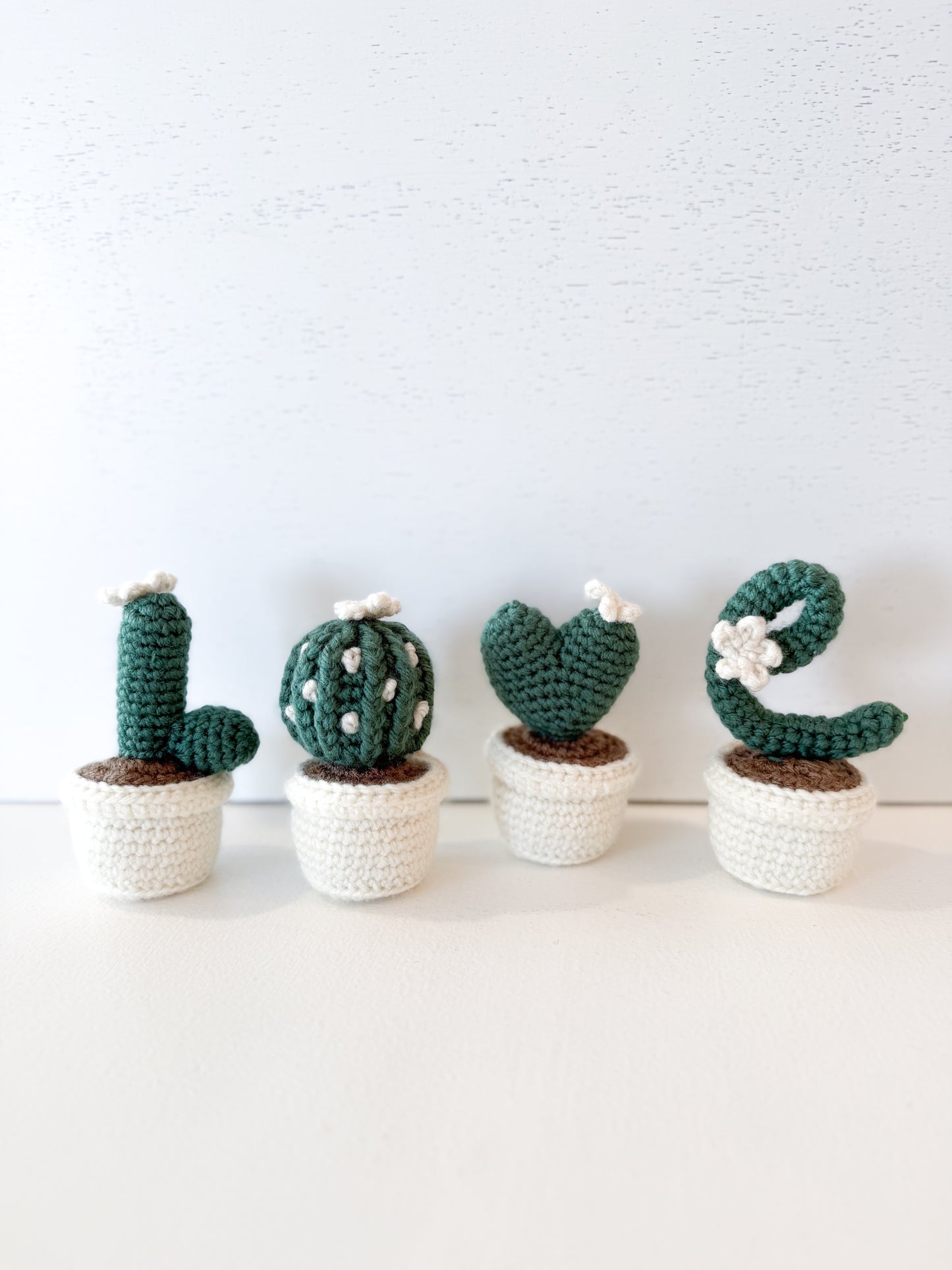Crocheted Love Cactus Set
