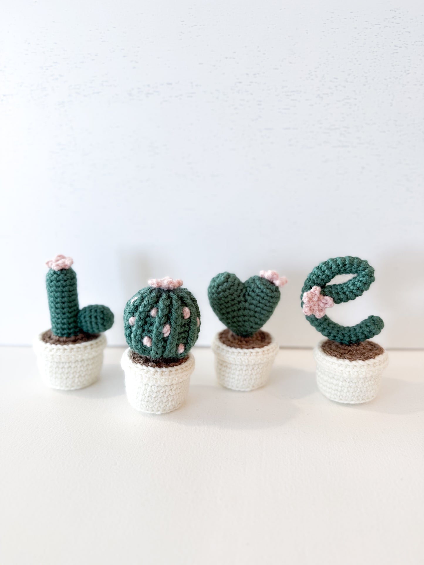 Crocheted Love Cactus Set