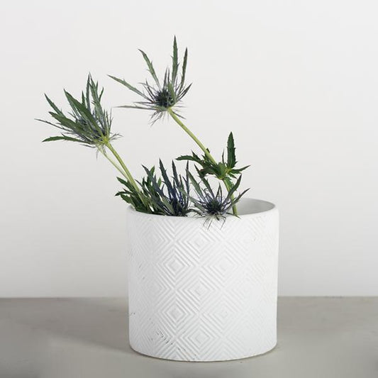 White Plant Pot
