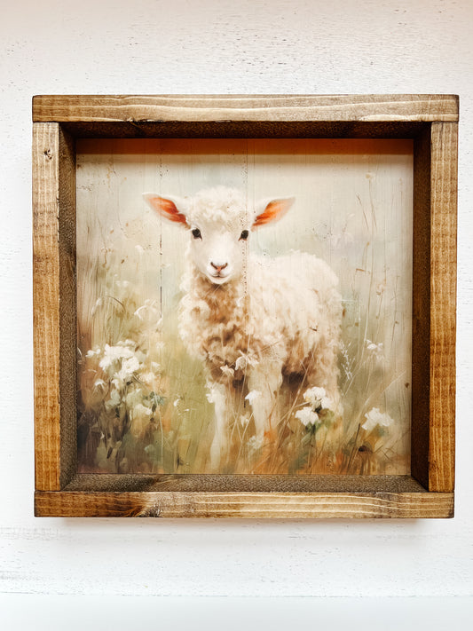 Little Lamb Framed Print