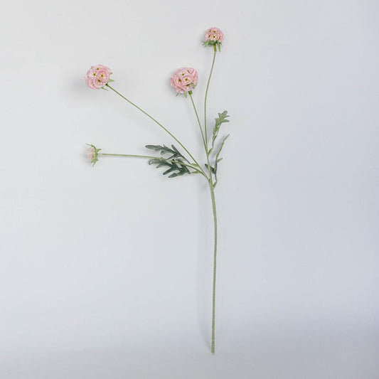 Windmill Fruit Stem