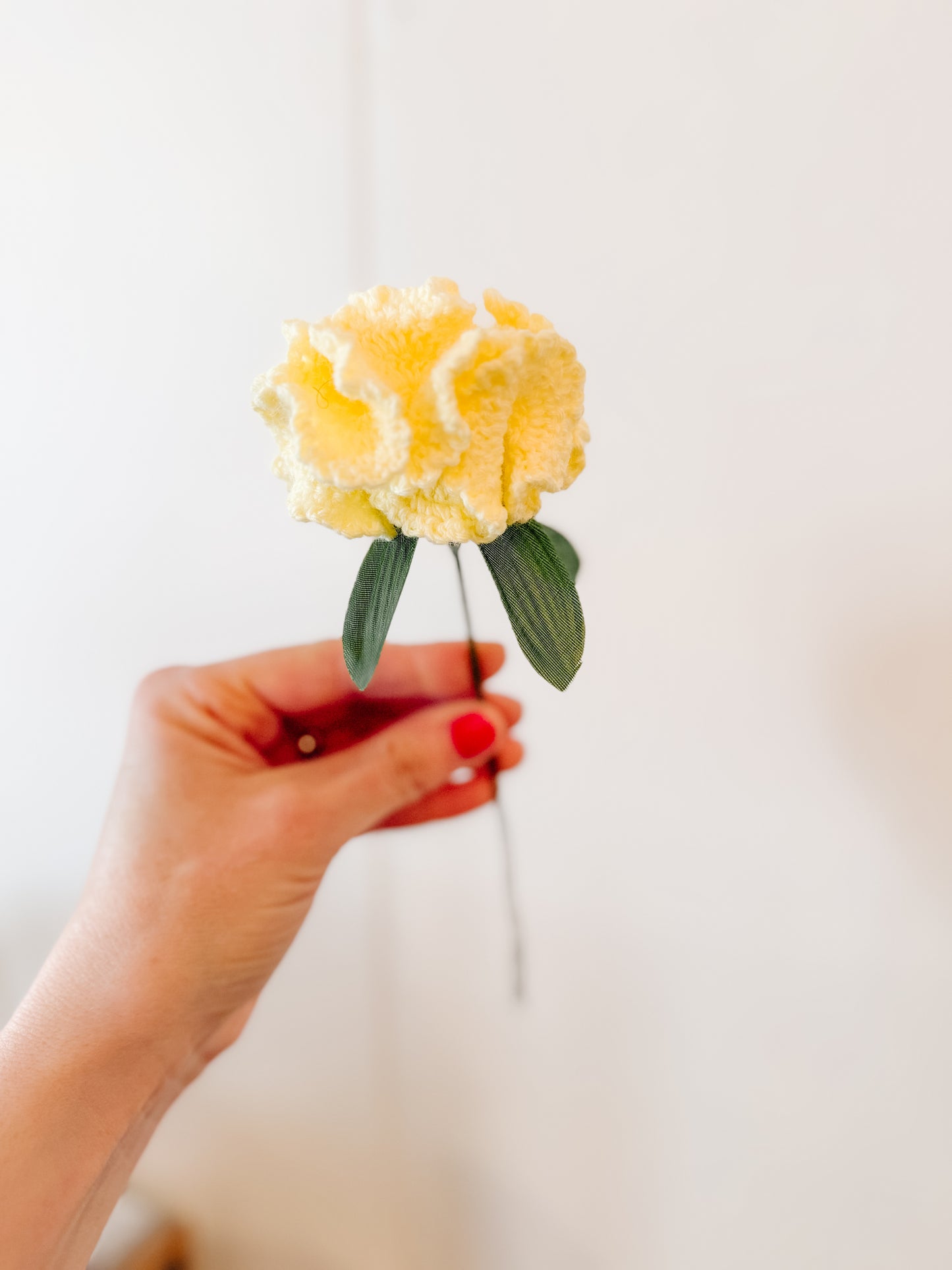 Crocheted Carnation