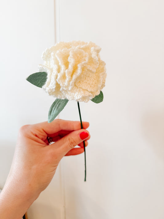 Crocheted Carnation