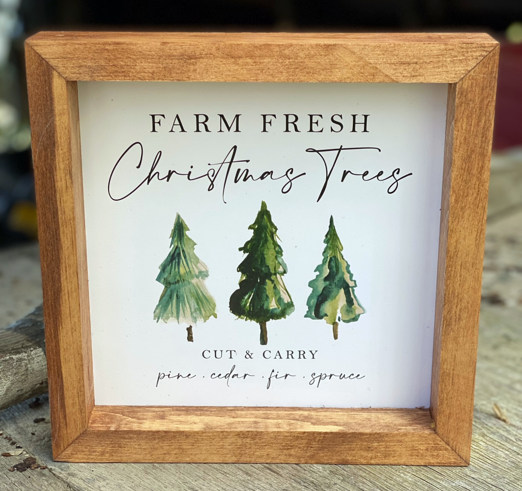 Farm Fresh Christmas Trees - 8x8 Print Framed