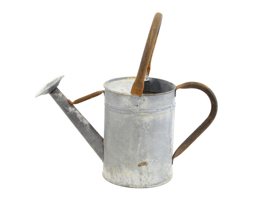 Rustic Watering Can (Decorative)