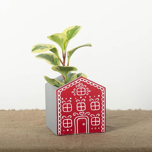 Gingerbread House Flower Pot - Red
