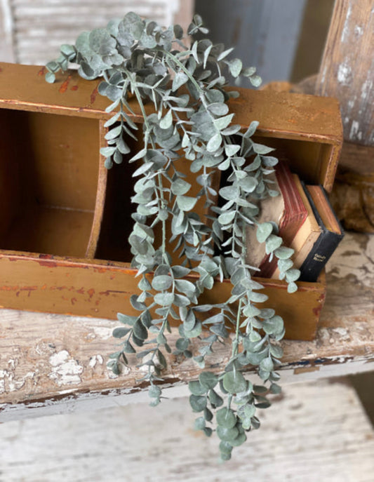 Eucalyptus Hanging Spray